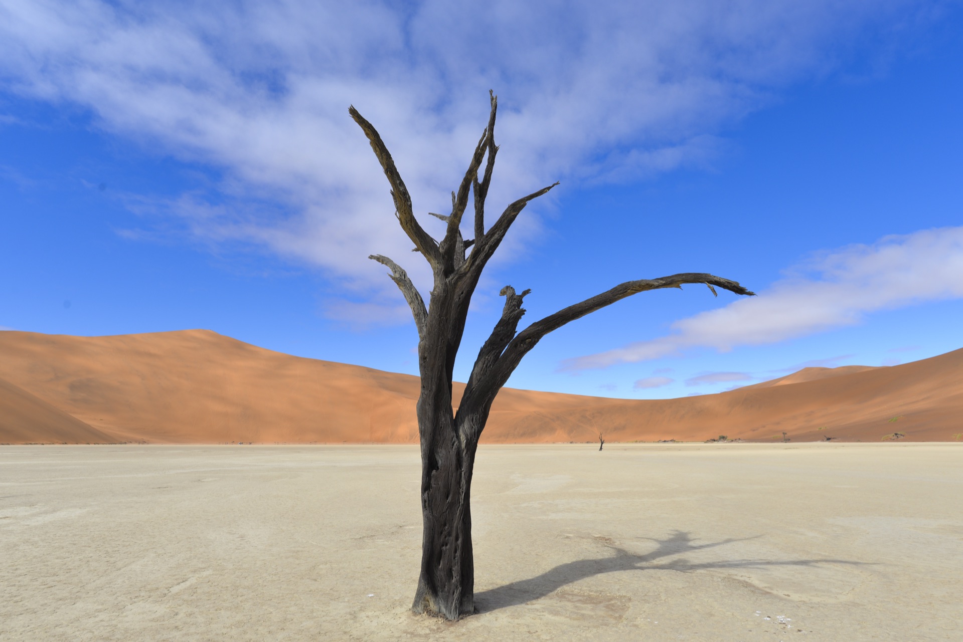 Mike McGovern — Sossusvlei dunes